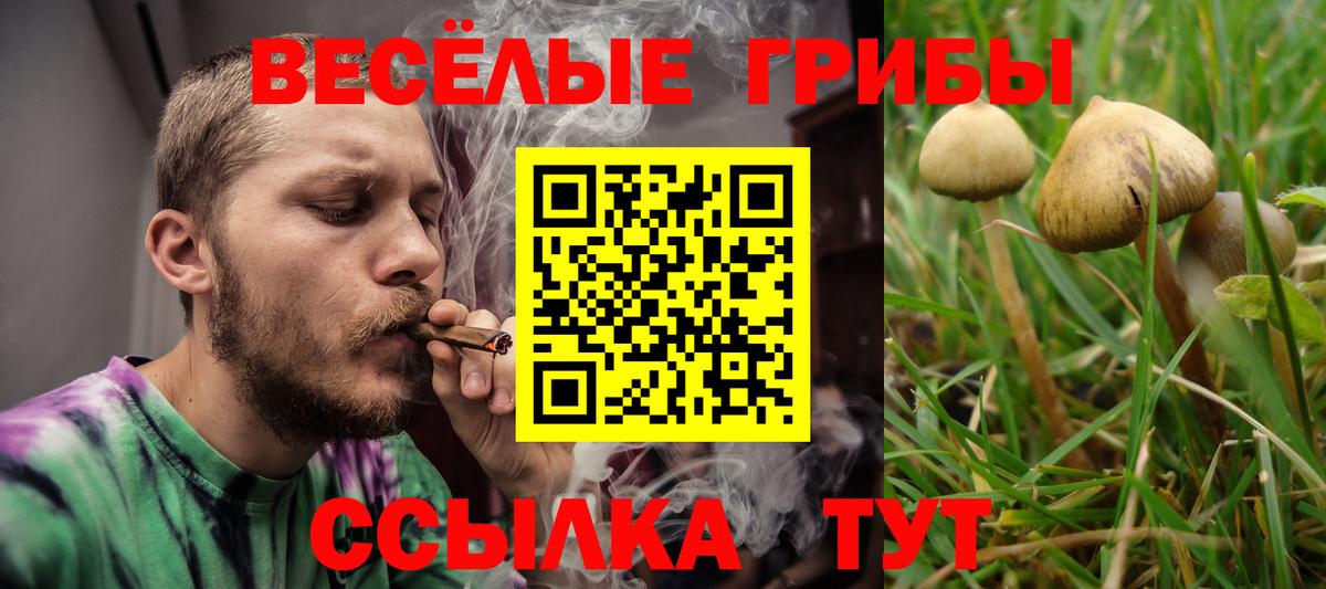 где найти наркотики  Вход с VPN  Усть-Илимск  Галлюциногенные грибы Magic Shrooms 